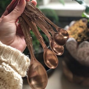 Anthropologie Copper Measuring Spoons